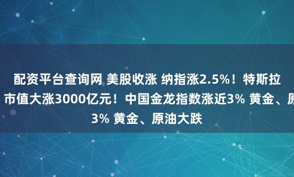配资平台查询网 美股收涨 纳指涨2.5%！特斯拉涨超5% 市值大涨3000亿元！中国金龙指数涨近3% 黄金、原油大跌
